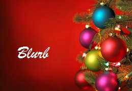 Christmas 2015 Blog blurb