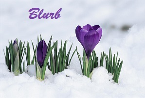 Blurb Spring Blog - Copy
