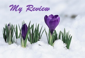Review Spring Blog - Copy