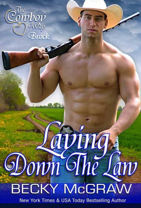 LayingDowntheLaw Cover
